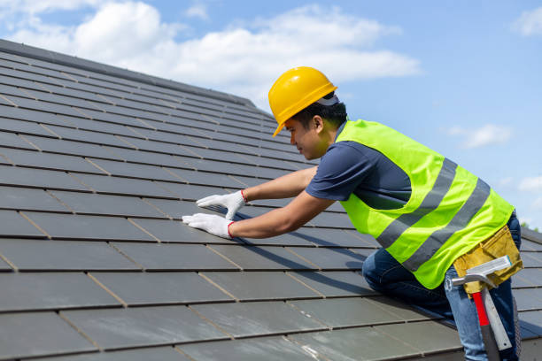 Best Roof Maintenance Services  in Little Flock, AR