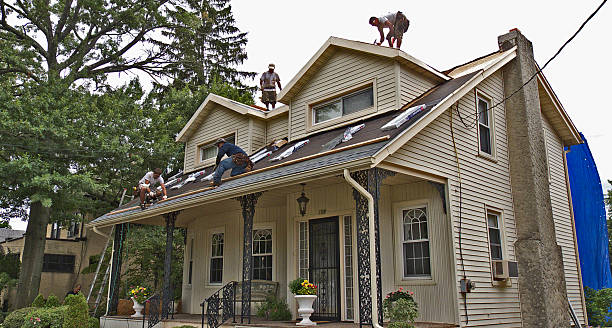 Best Roof Leak Repair  in Little Flock, AR